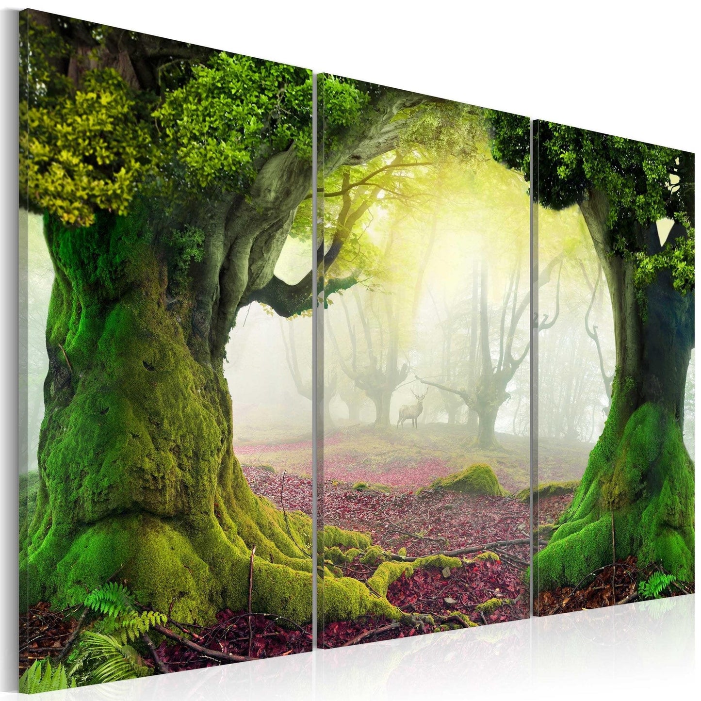 Canvas Print - Mysterious forest - triptych - www.trendingbestsellers.com