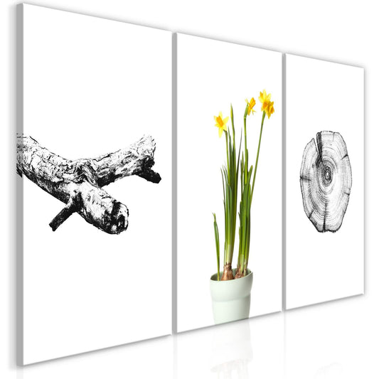 Canvas Print - Nature (Collection) - www.trendingbestsellers.com