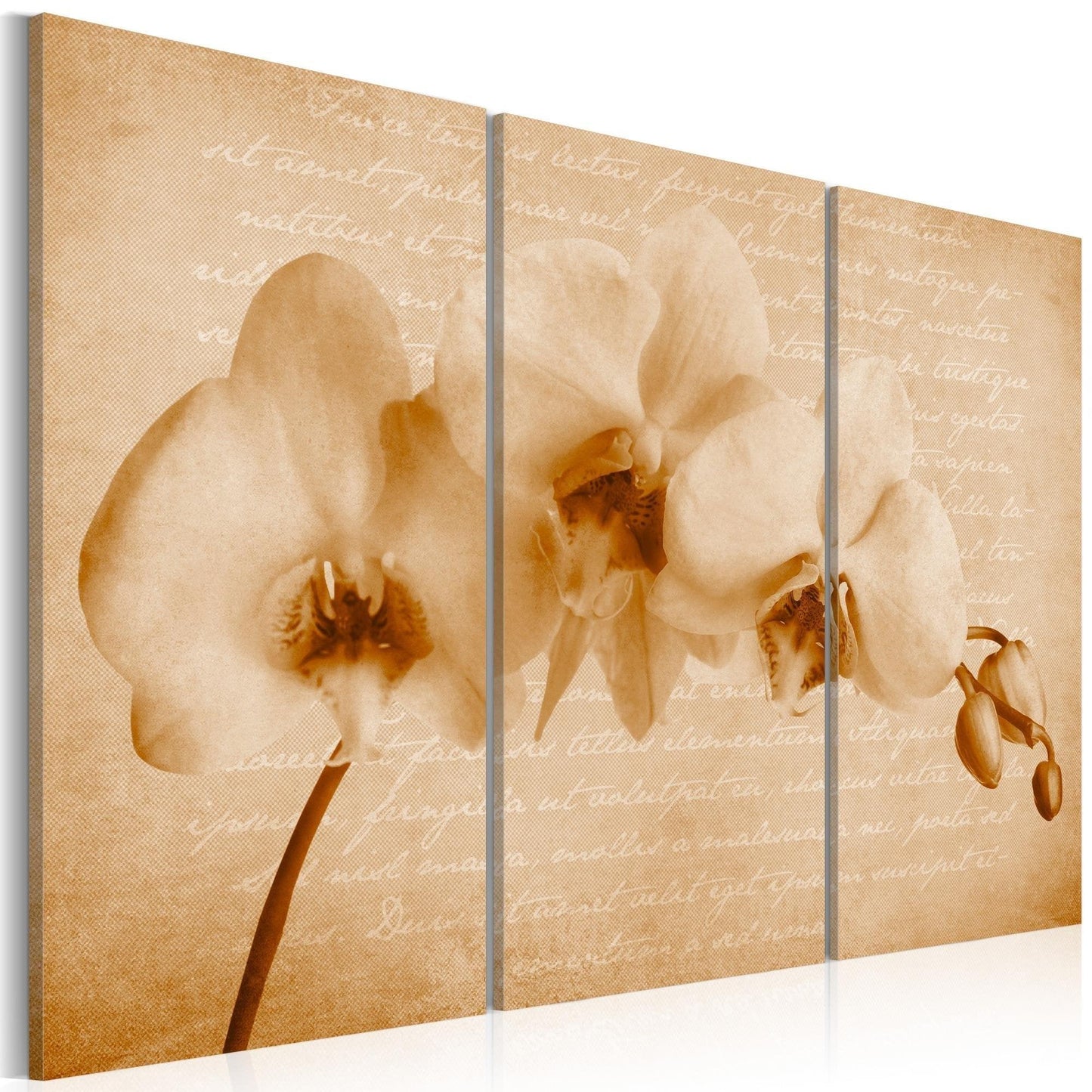 Canvas Print - orchid (vintage) - www.trendingbestsellers.com