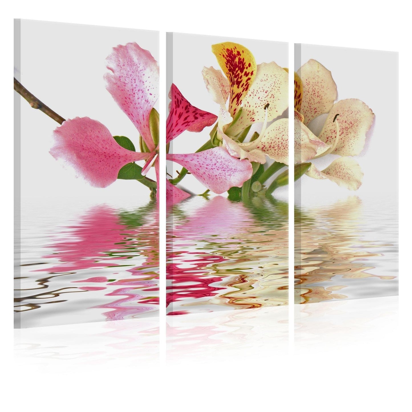 Canvas Print - Orchid with colorful spots - www.trendingbestsellers.com