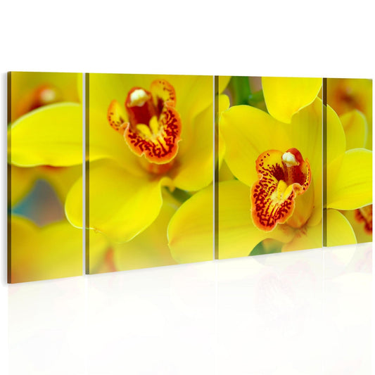 Canvas Print - Orchids - intensity of yellow color - www.trendingbestsellers.com