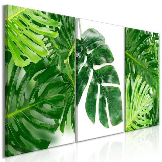Canvas Print - Palm Leaves (3 Parts) - www.trendingbestsellers.com