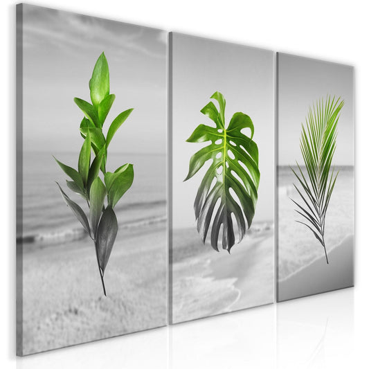 Canvas Print - Plants (Collection) - www.trendingbestsellers.com