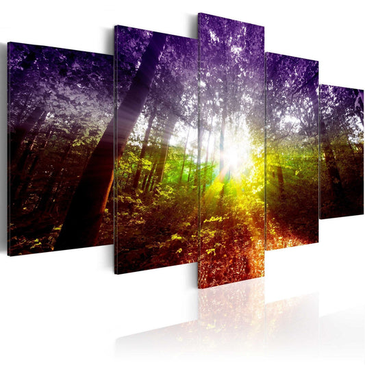 Canvas Print - Rainbow Forest - www.trendingbestsellers.com