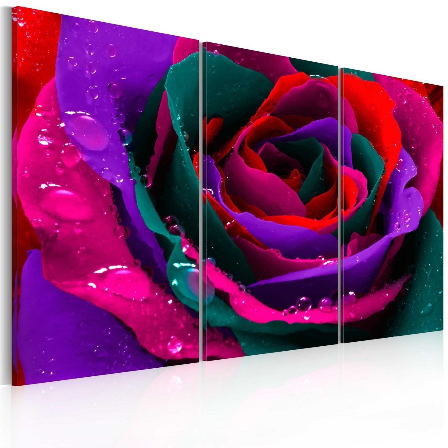 Canvas Print - Rainbow-hued rose - www.trendingbestsellers.com