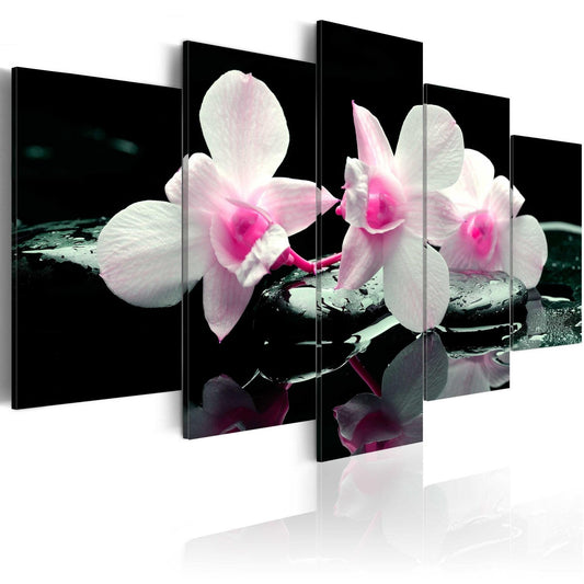 Canvas Print - Rest of orchids - www.trendingbestsellers.com