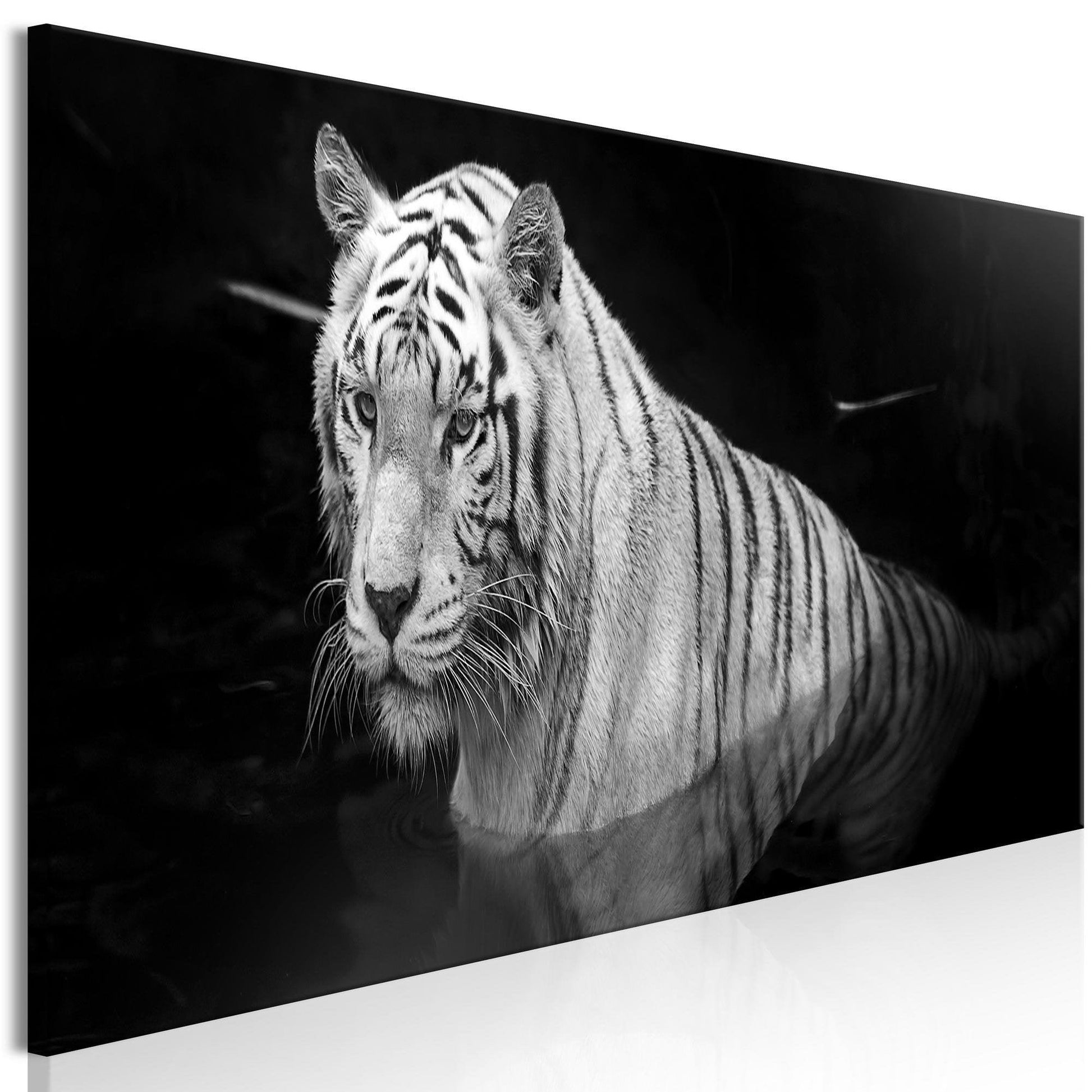 Canvas Print - Shining Tiger (1 Part) Black and White Narrow - www.trendingbestsellers.com