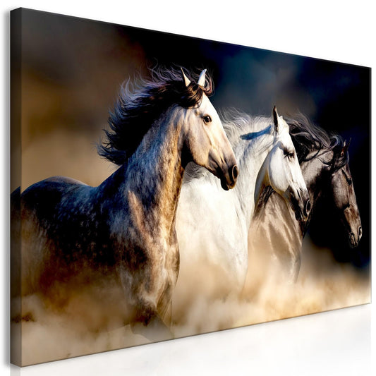 Canvas Print - Sons of the Wind (1 Part) Wide - www.trendingbestsellers.com