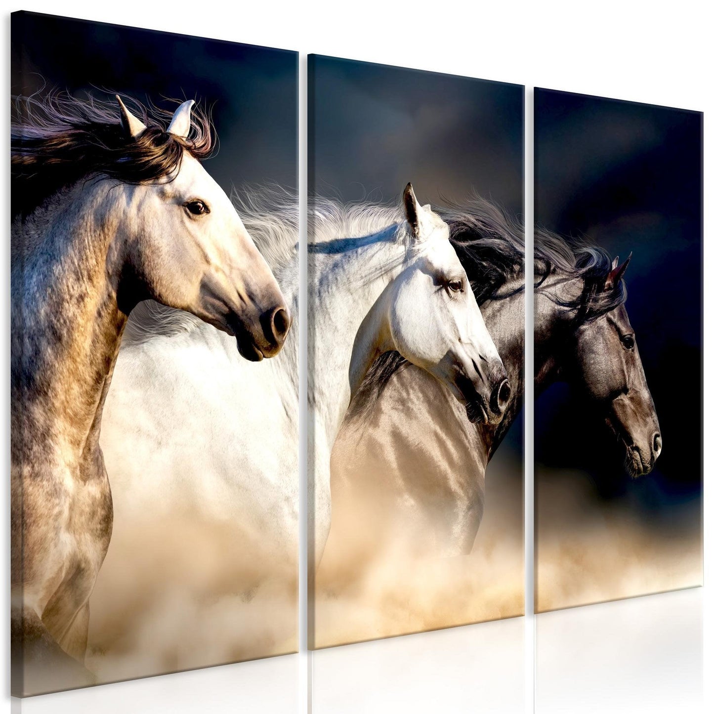 Canvas Print - Sons of the Wind (3 Parts) - www.trendingbestsellers.com