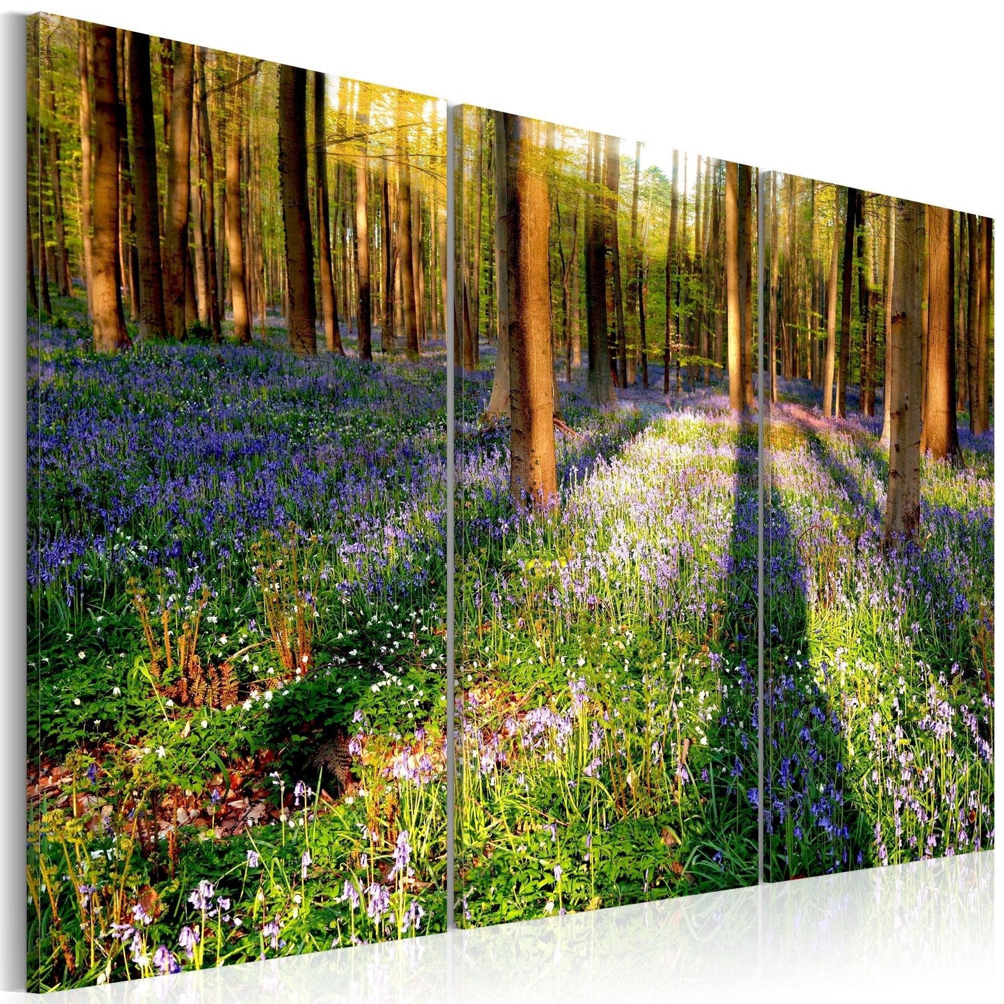 Canvas Print - Spring Forest - www.trendingbestsellers.com