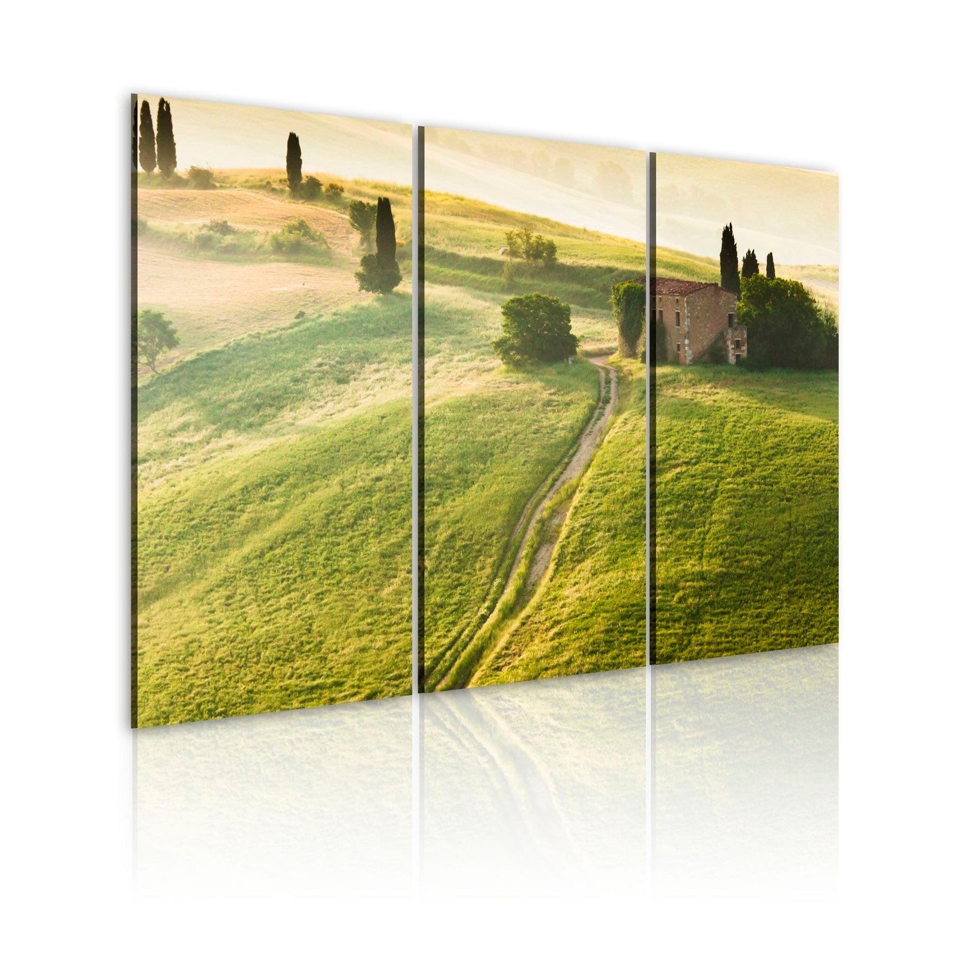 Canvas Print - Under the Tuscan Sun - www.trendingbestsellers.com