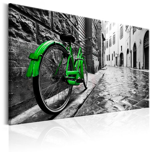 Canvas Print - Vintage Green Bike - www.trendingbestsellers.com
