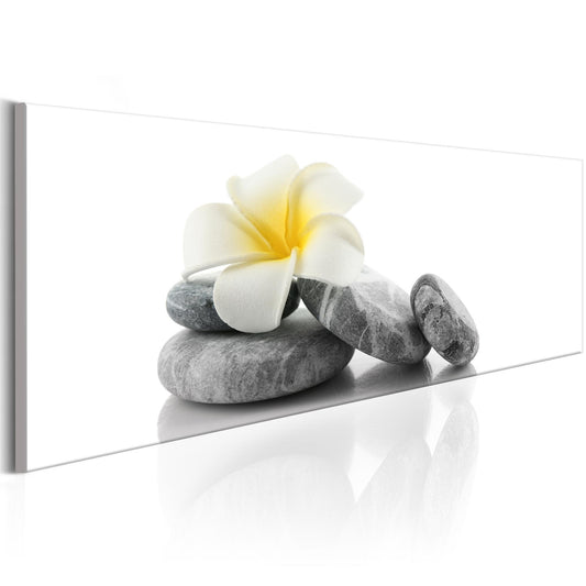 Canvas Print - White Lotus - www.trendingbestsellers.com