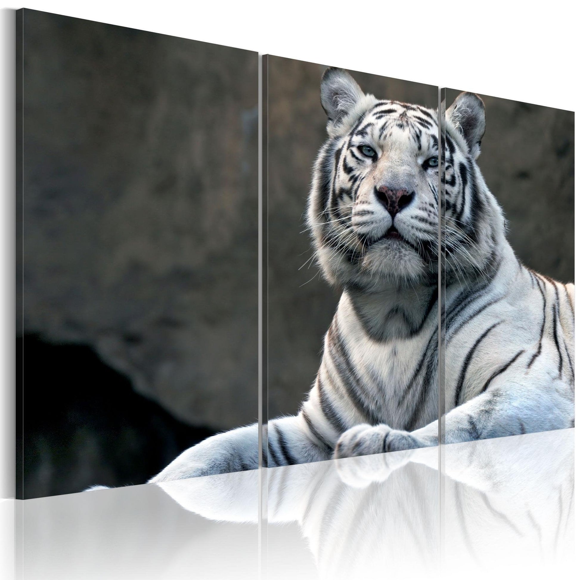 Canvas Print - White tiger - www.trendingbestsellers.com