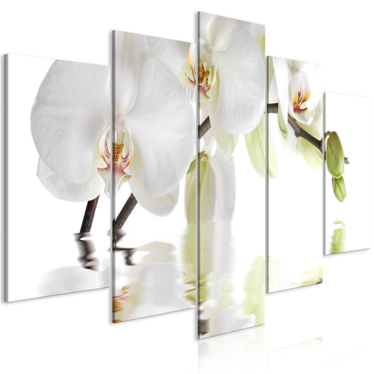 Canvas Print - Wonderful Orchid (5 Parts) Wide - www.trendingbestsellers.com