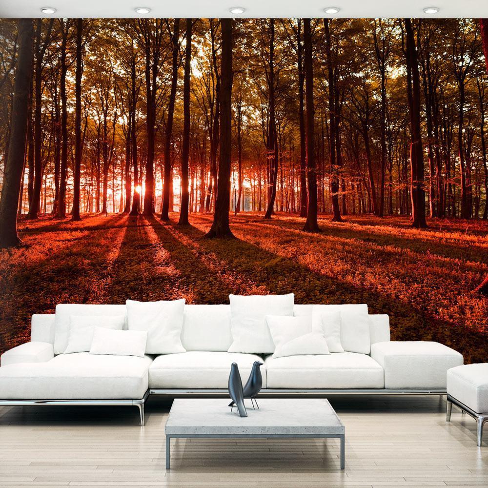 Peel and stick wall mural - Autumn Morning - www.trendingbestsellers.com