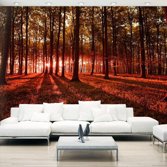 Peel and stick wall mural - Autumn Morning - www.trendingbestsellers.com