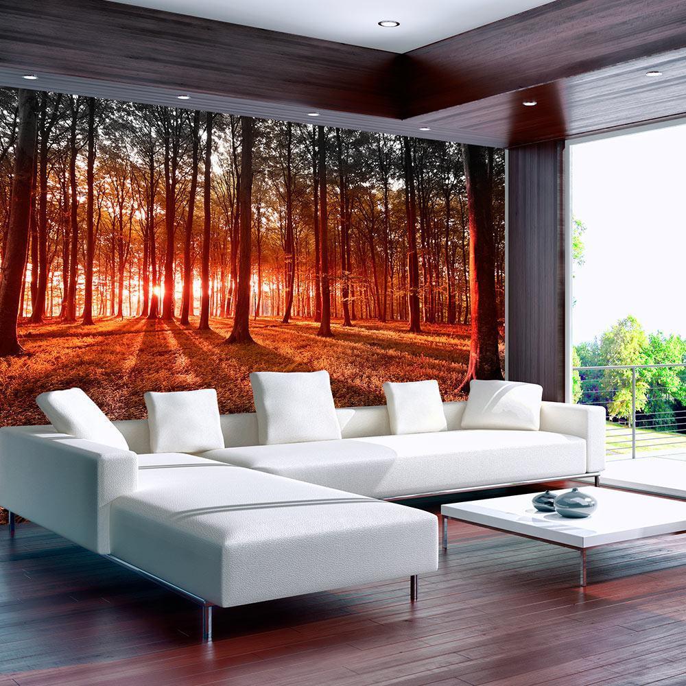 Peel and stick wall mural - Autumn: morning in the forest - www.trendingbestsellers.com
