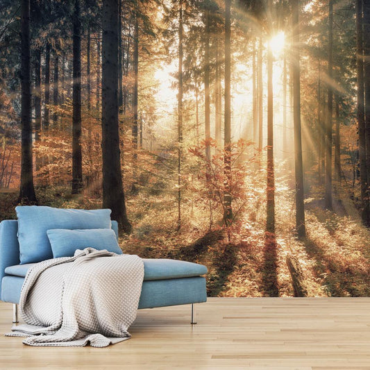 Peel and stick wall mural - Autumnal Forest - www.trendingbestsellers.com