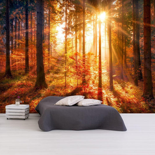 Peel and stick wall mural - Autumnal Time - www.trendingbestsellers.com