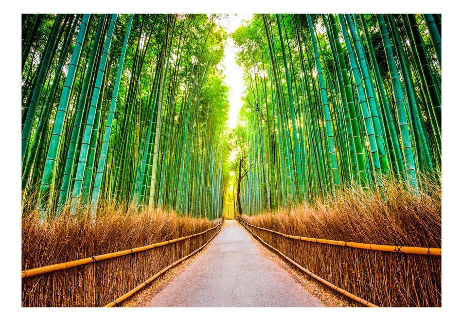Peel and stick wall mural - Bamboo Forest - www.trendingbestsellers.com