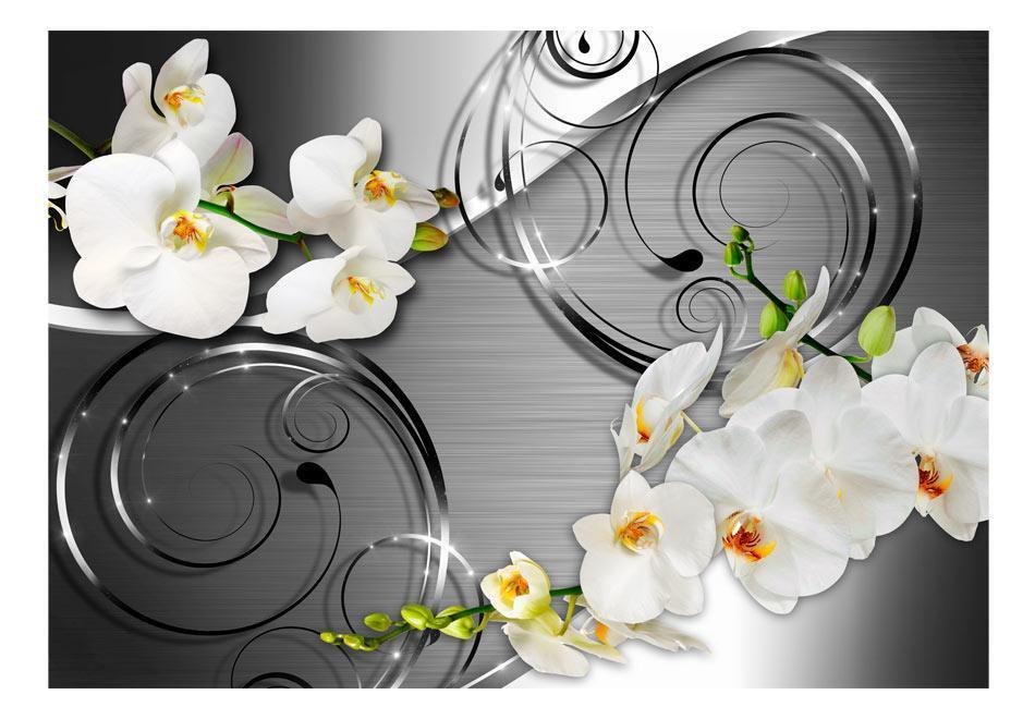 Peel and stick wall mural - Expectation - www.trendingbestsellers.com