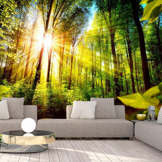 Peel and stick wall mural - Forest Hideout - www.trendingbestsellers.com