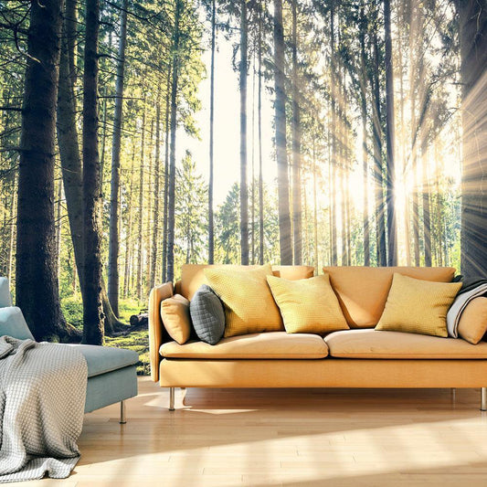 Peel and stick wall mural - Forest Walk - www.trendingbestsellers.com