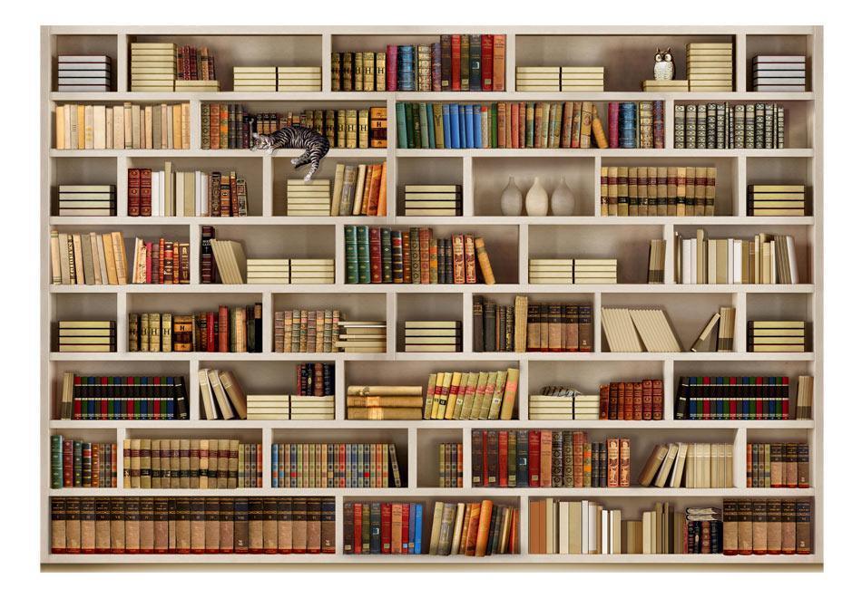 Peel and stick wall mural - Home library - www.trendingbestsellers.com
