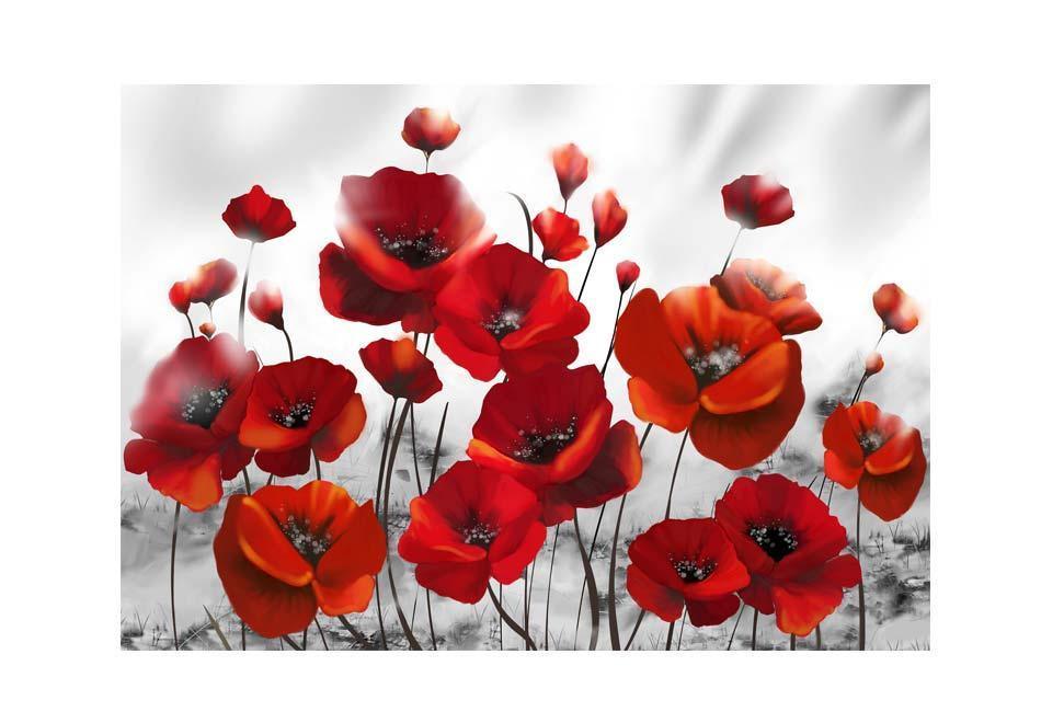 Peel and stick wall mural - Poppies in the Moonlight - www.trendingbestsellers.com