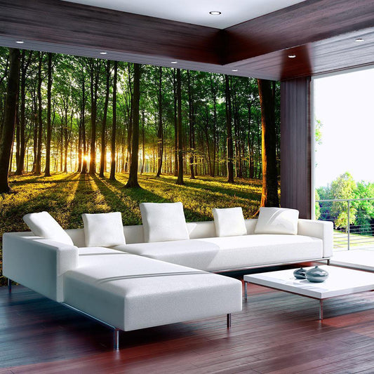 Peel and stick wall mural - Spring: Morning in the Forest - www.trendingbestsellers.com