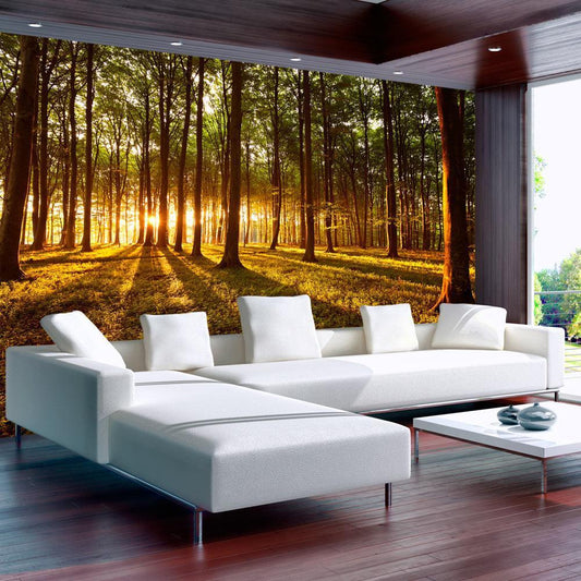Peel and stick wall mural - Summer: Morning in the forest - www.trendingbestsellers.com