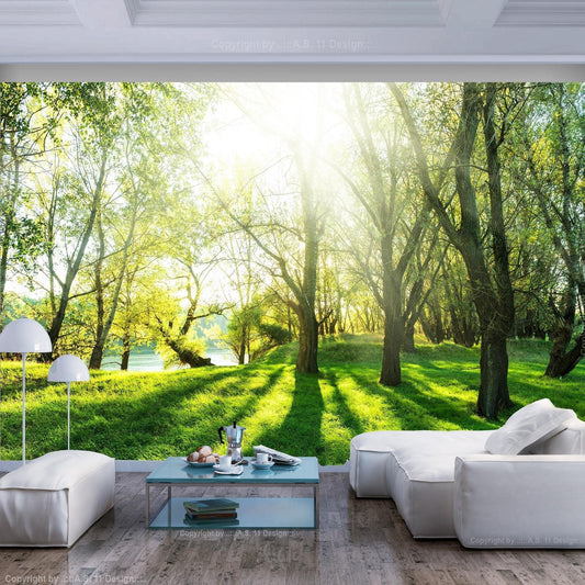 Peel and stick wall mural - Sunny May Day - www.trendingbestsellers.com