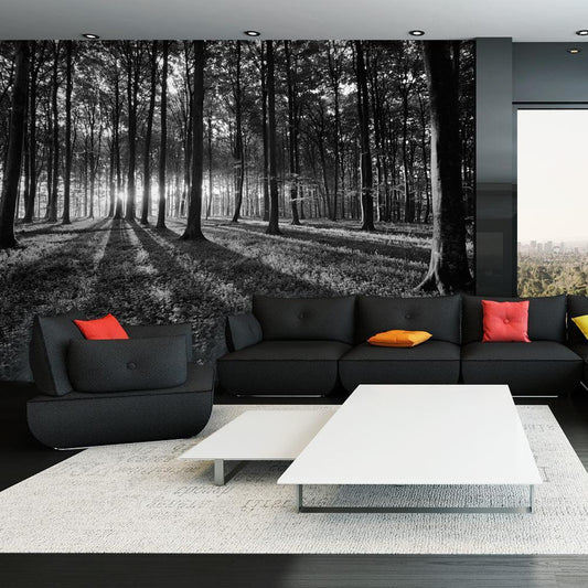 Peel and stick wall mural - The Light in the Forest - www.trendingbestsellers.com